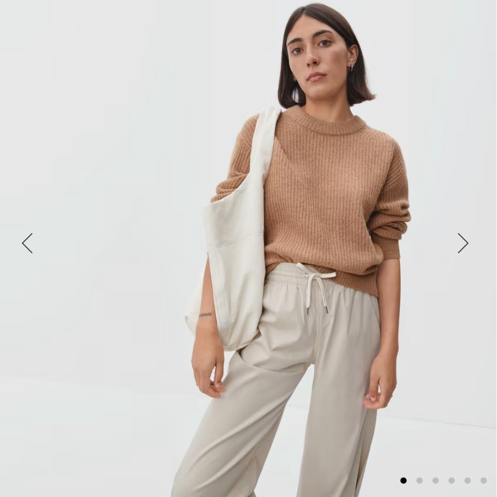 Everlane The Alpaca Crew in warm taupe, size S